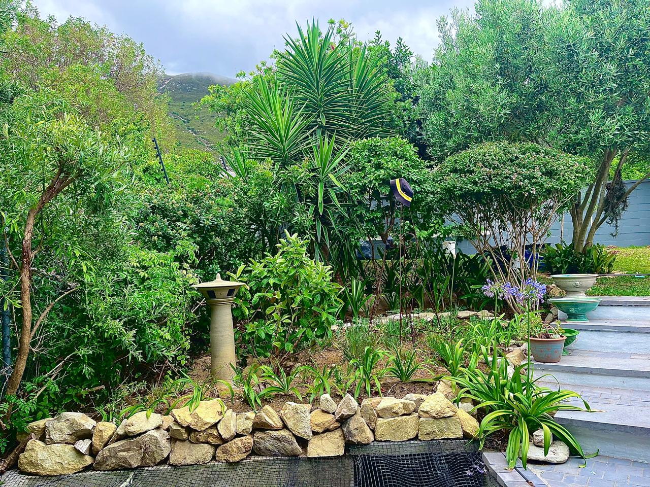 Before: Garden prep